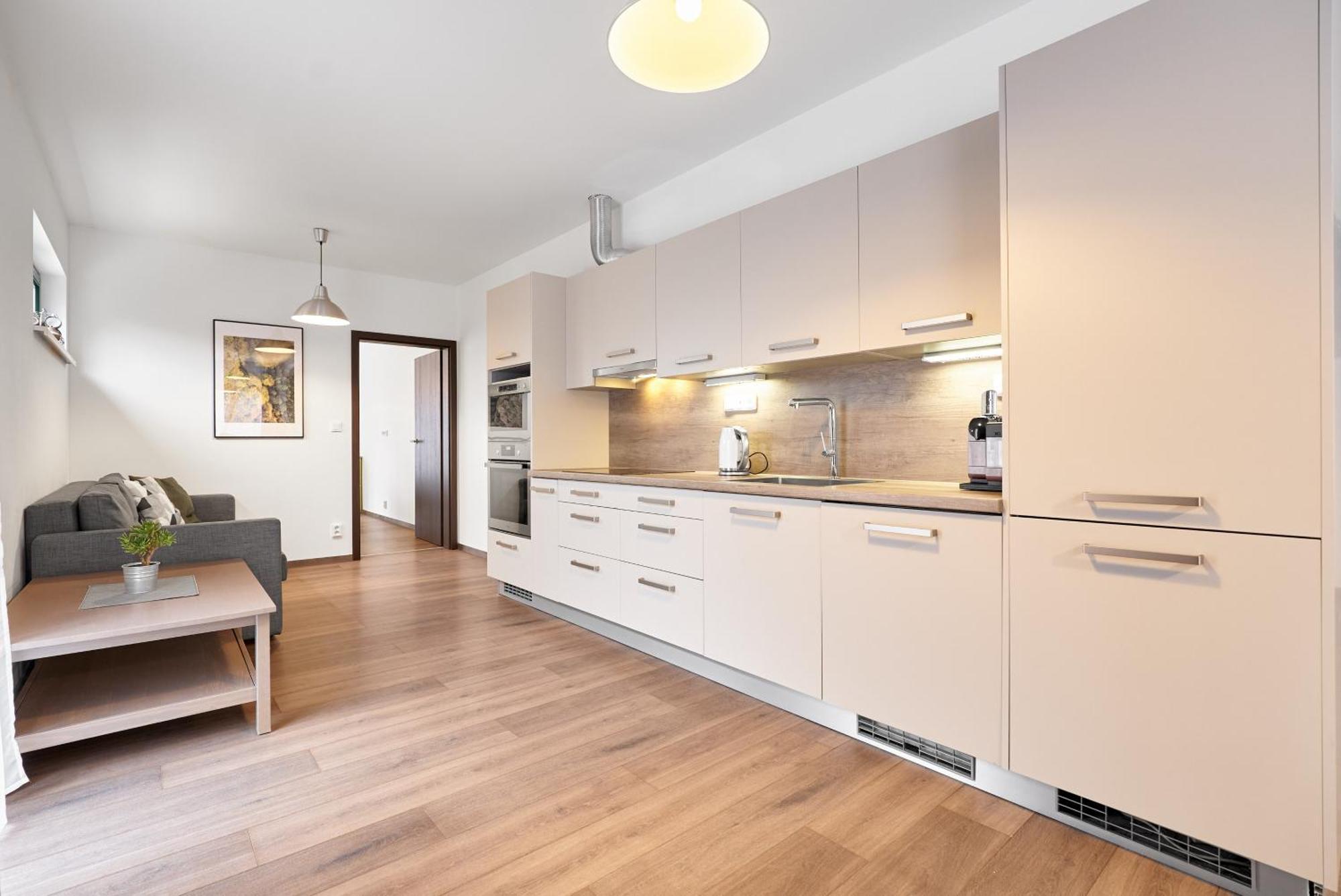 Appartement Bellevue Keilberg Exclusive à Loučná pod Klínovcem Extérieur photo